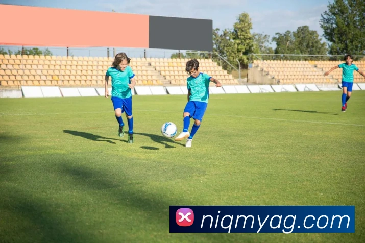 ag百家乐平台生态图